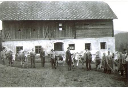 Baumgartner, Metnitz, Preining