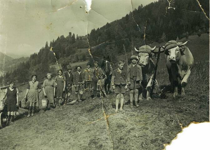 Auer, Auer Wöbring, eingespannte Rinder, Frauen, Fritz, Fritzbauer, Fritzn, Kinder, Männer, Metnitz, Ochsen, vlg. Fritzbauer, Wöbring, Wöbring 26