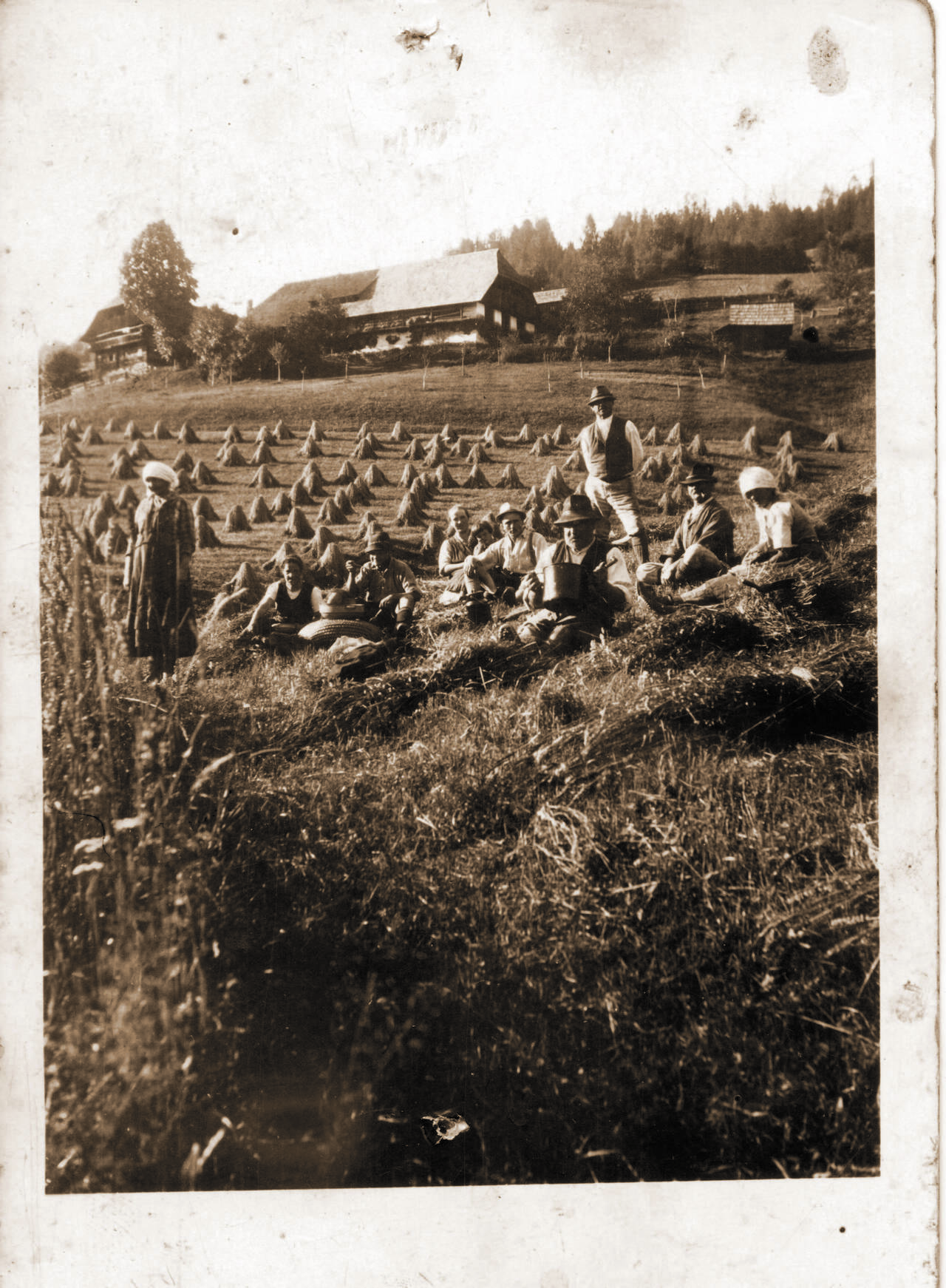 Getreideernte, Hartenberger, Metnitz, Roggen schneiden, Roggenernte, Unteralpe, vlg. Rogges